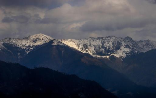 stand majestically 4