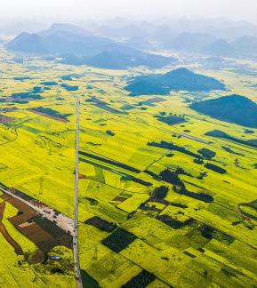 The Poetry of the Earth 3