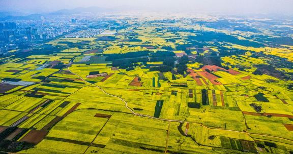 The Poetry of the Earth 4