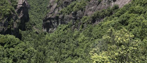 Green between cliffs 26