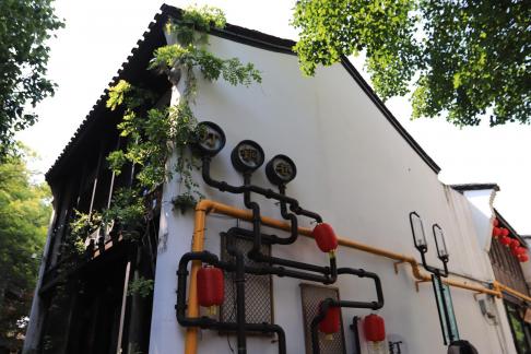 White Wall and New Branches 1