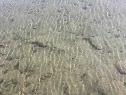 Blue waves and cloud shadows 4