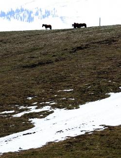 Mountain Trail Watching Snow 15