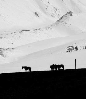 Mountain Trail Watching Snow 9