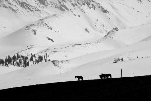 Mountain Trail Watching Snow 10