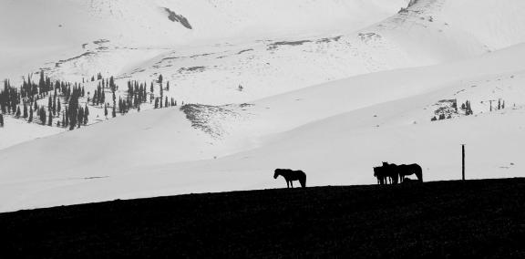Mountain Trail Watching Snow 11