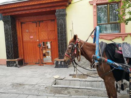 Yili Old Town Landscape 15