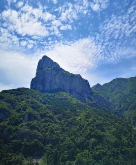 Green Wilderness and Tranquility 29