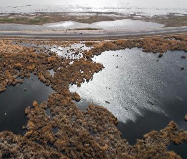 Ice Lake Reed Path Book 19