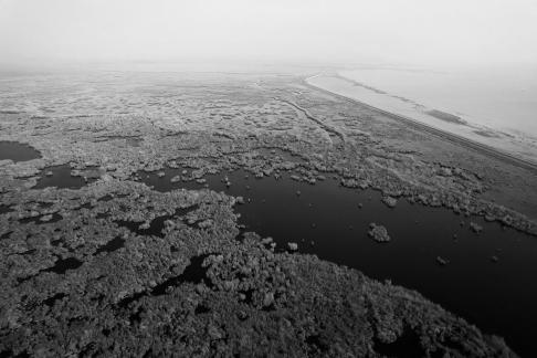 Ice Lake Reed Path Book 21