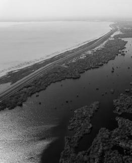 Ice Lake Reed Path Book 22