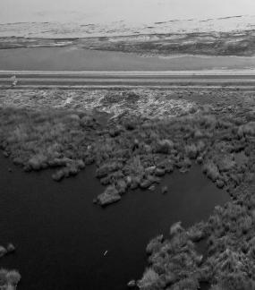 Ice Lake Reed Path Book 23