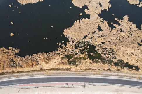 Ice Lake Reed Path Book 12