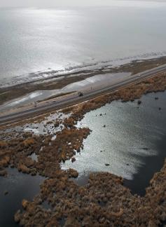 Ice Lake Reed Path Book 15