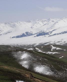 Pure Snow Mountain 5