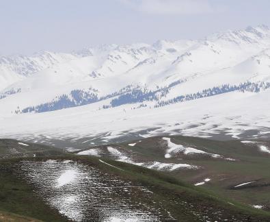 Pure Snow Mountain 6