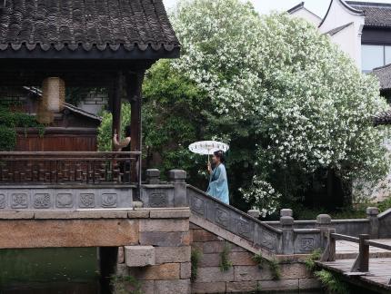 Ancient rhyme new take 11