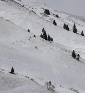 Empty field white painting 5