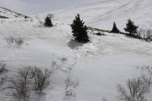 Empty field white painting 8
