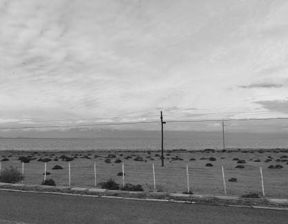 The Breath of the Earth 8