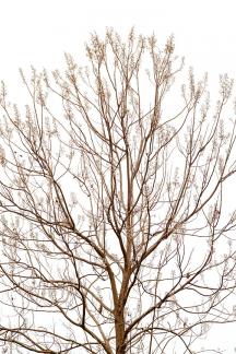 Drying up in winter 14