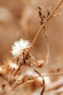 Drying up in winter 22