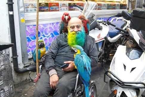 The Parrot Man