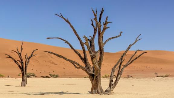Namiba death vlei 9860
