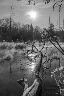 Sunset in Jilin Demon World