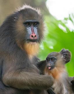 Parent and child time