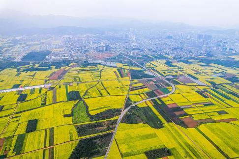 The Poetry of the Earth 10