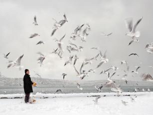 Aviculture