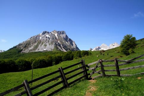 We are going to the mountains
