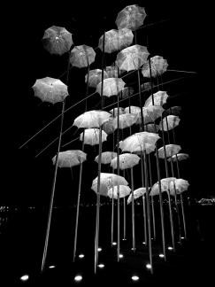 Umbrellas at night