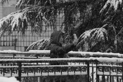 Snowflakes Dancing in the World 77