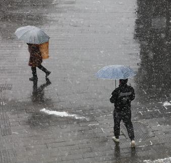 Snowflakes Dancing in the World 70