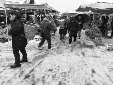 Snowy scenery 73