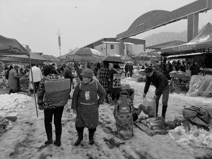 Snowy scenery 74