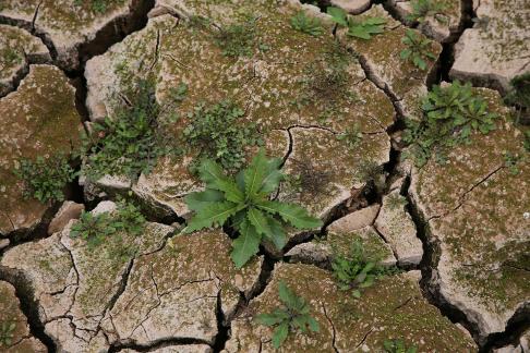 Cracked Earth 13