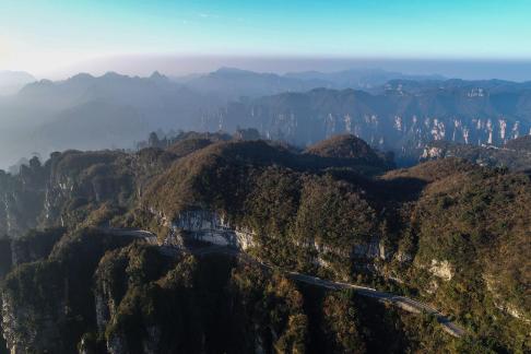 Green mountains and red forests 12