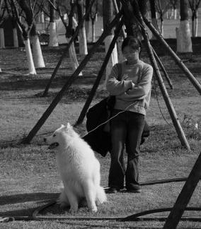 Sunny days and wild fun 1