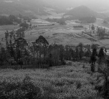 Spring scenery 13