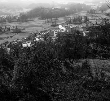 Spring scenery 14