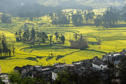 Spring scenery 10