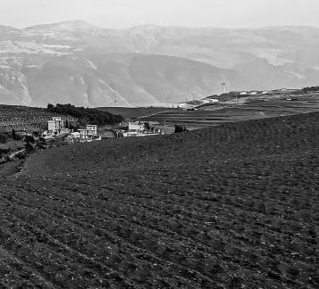 The longing of the earth 17