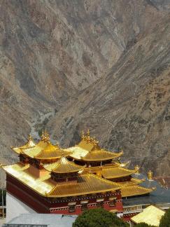 Canyon Golden Hall 1