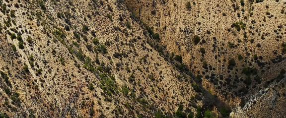 Mountainous wild slopes 2