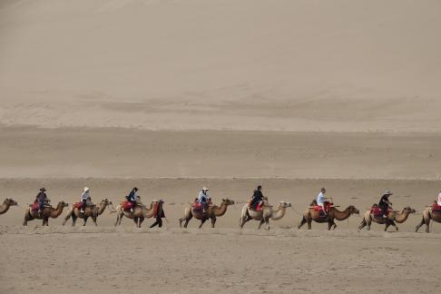 Desert Journey 81