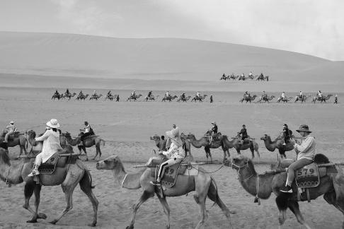 Desert Journey 85