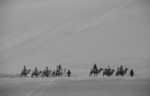 Desert Journey 86
